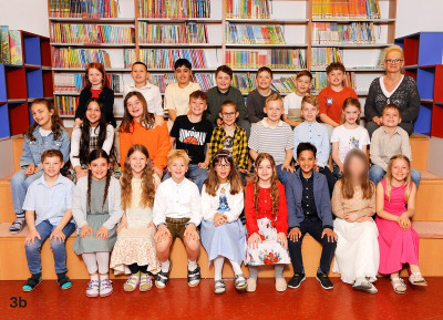 3b