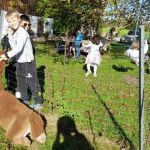 img-20241115-wa0015