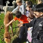 img-20241115-wa0019