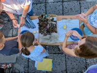 Pxl 20250702 064013167