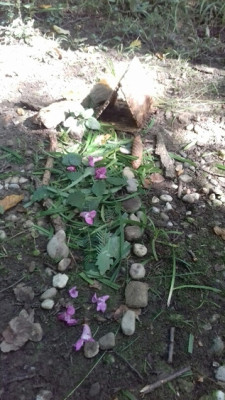 Landart 1