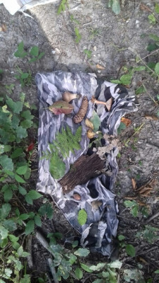 Landart 4