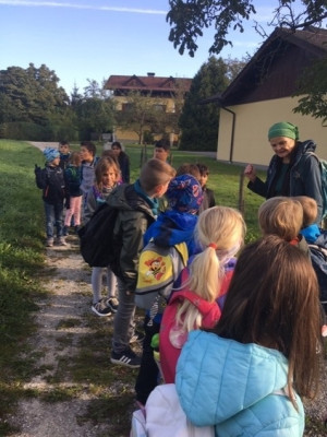 Waldtag1