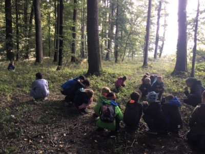 Waldtag2
